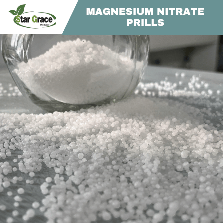 Magnezyum Nitrat Mg(NO3)2